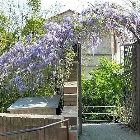 Al Pergolesi 3* Jesi